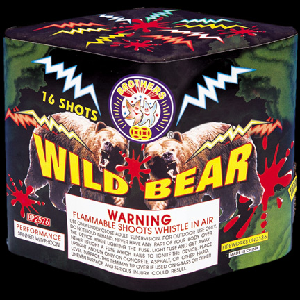 Wild Bear